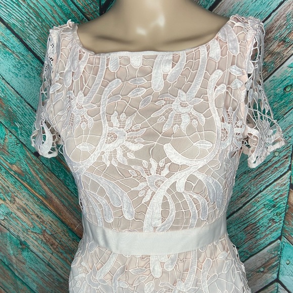 Maje Romarin Ombre Lace Midi Dress - Picture 9 of 9